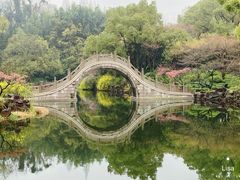 -南园(太仓市)