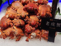 -加餐海鲜自助(集美银泰百货店)