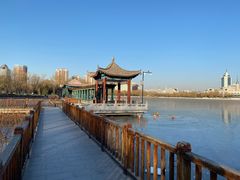 -莲花池公园