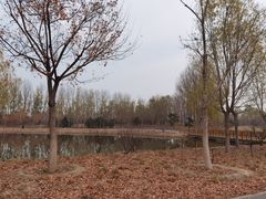 -东郊湿地公园