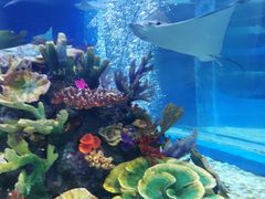 -成都浩海立方海洋公园