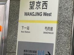 -望京西(地铁站)
