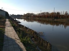 -上海都市菜园