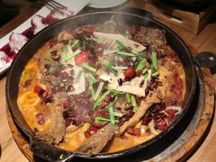 -老板恋上鱼(印象城店)