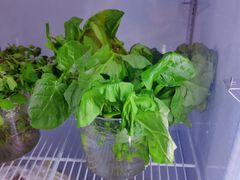 -天毓山庄·餐厅