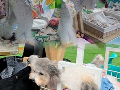 -IPARK购物中心