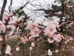 -天津盘山风景名胜区
