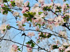 -象湖生态湿地公园