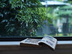 -大可堂普洱茶馆(襄阳南路馆)