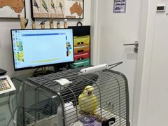 -立德异宠动物医院.兔鸟爬.内窥镜(天河店)
