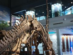 -自贡恐龙博物馆