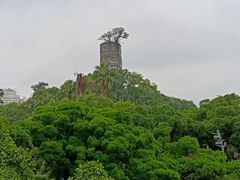 -江心屿景区