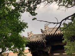 -善化寺
