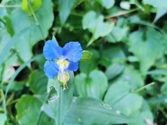 -碓臼峪自然风景区