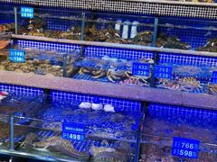 -青蓬蒸汽海鲜·深圳老字号·团建聚会(壹方城店)