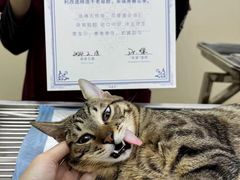 -芭比堂动物医院广州顽皮分院