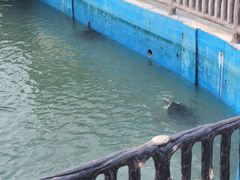 -广东惠东海龟国家级自然保护区