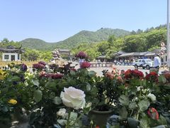 -句容茅山景区