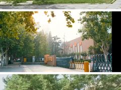 -山东省青岛第二中学(江西路分校)