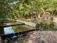 -广州白江湖森林公园