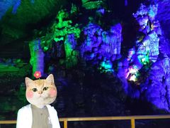 -北京上方山国家森林公园