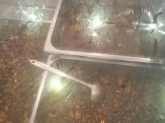 -鸿运兔·手撕烤兔(天府广场店)