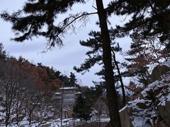 -沂蒙山旅游区云蒙景区(蒙山国家森林公园)