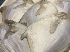 -山海经·海边人家 海鲜新青岛菜(扬州路店)