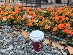 -COSTA COFFEE(上海虹口公园店)