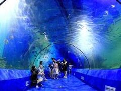 -石林冰雪海洋世界