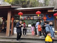 -天目湖山水园