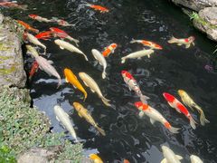 -聚福宝合苑食府(南头镇店)