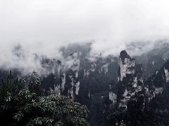 -禾田下生态餐厅(华天城总店)
