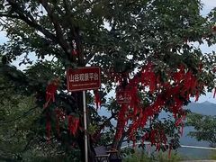 -六里坪国家森林公园