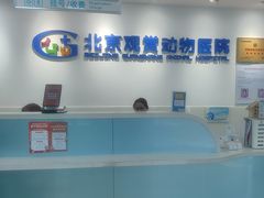 -北京观赏动物医院·24小时大型综合·猫专科·异宠专科