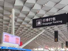 -郑州新郑国际机场-T2航站楼