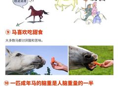 -多维国际马术俱乐部(118广场店)