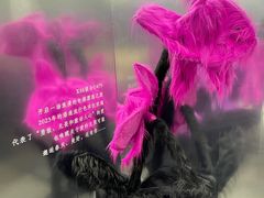 -X88商场(铜仁路店)