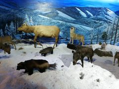 -呼伦贝尔民族博物馆