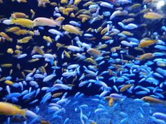 -成都浩海立方海洋公园