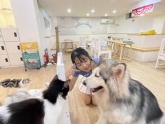 -李小姐の猫咖啡馆(五角场店)