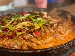 -老板恋上鱼(恒隆广场店)