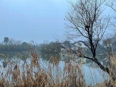 -新荣记(西溪湿地店)