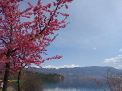 -丽江泸沽湖景区-里格半岛