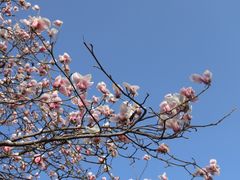 -三里河公园