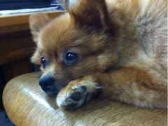 iphone_upload_pic-A+摄影