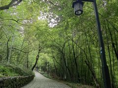 -杭州半山国家森林公园