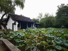 -红梅公园