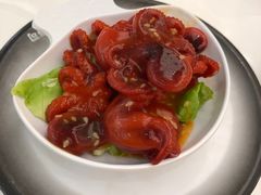 芝麻八爪鱼-元气寿司(金光华店)