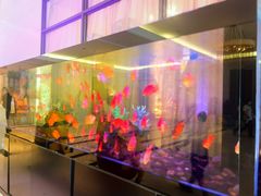 -海口绿发希尔顿酒店-田园汇自助餐·三文鱼·海鲜